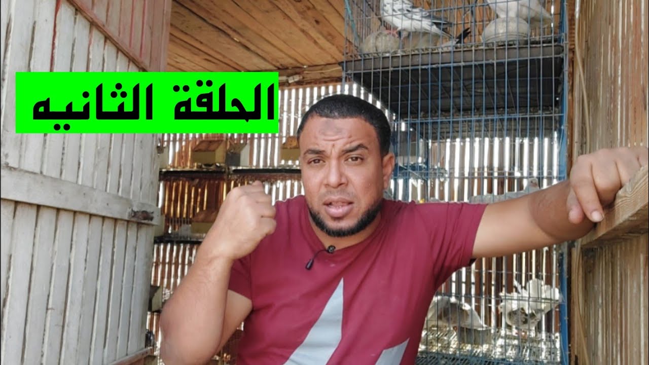 الغالي ثمنه فيه الحلقه ( 2 )