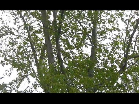 устал ждать картинки