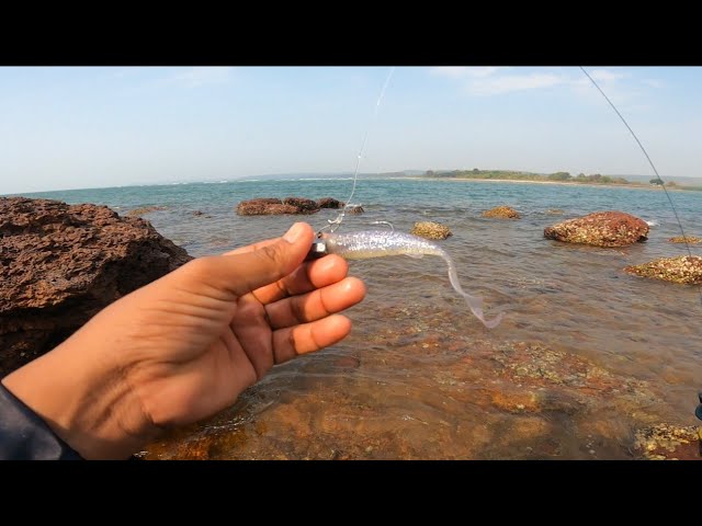 How to Pick the Right Fishing Lure (Best Way to Catch a Fish) 