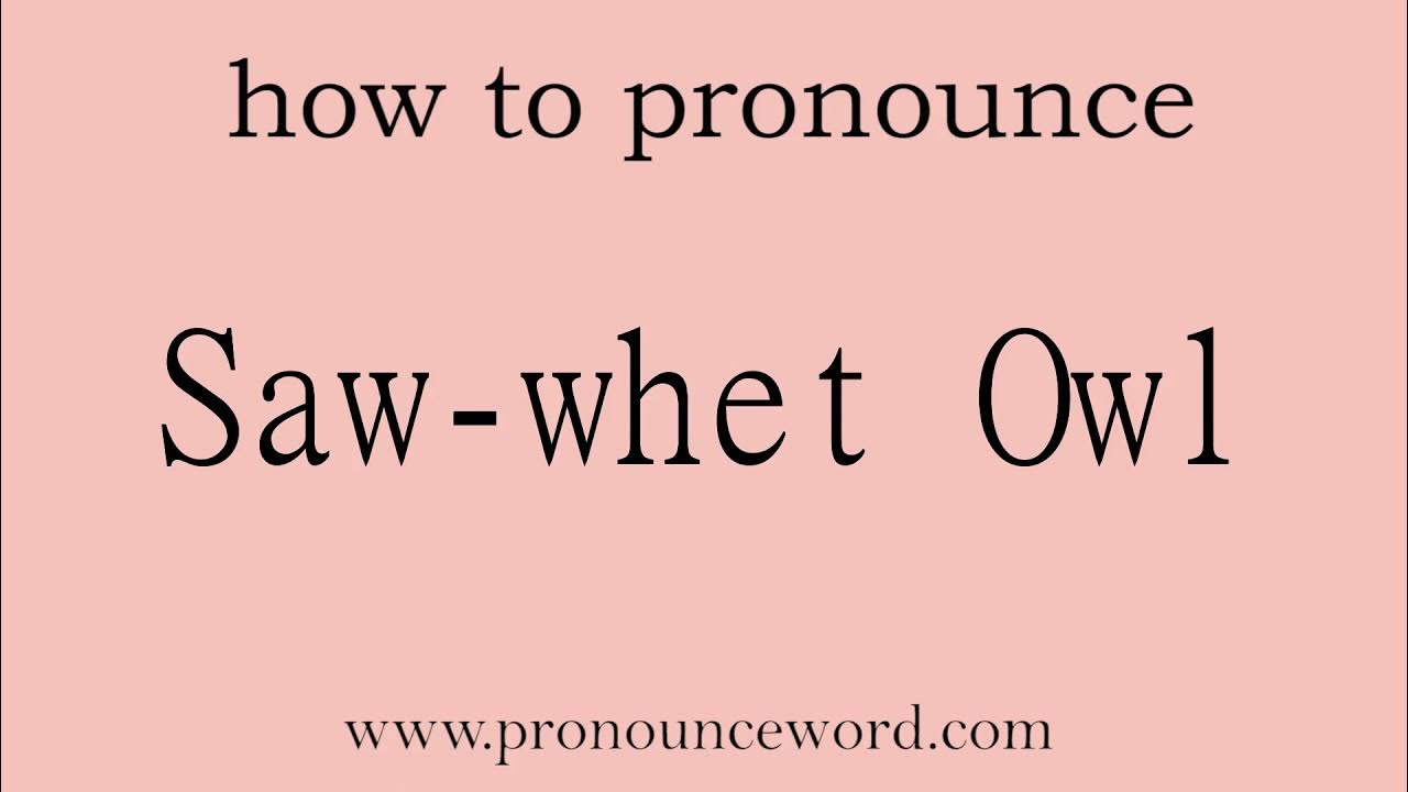 Sawwhet Owl. How to pronounce the english word Sawwhet Owl .Start