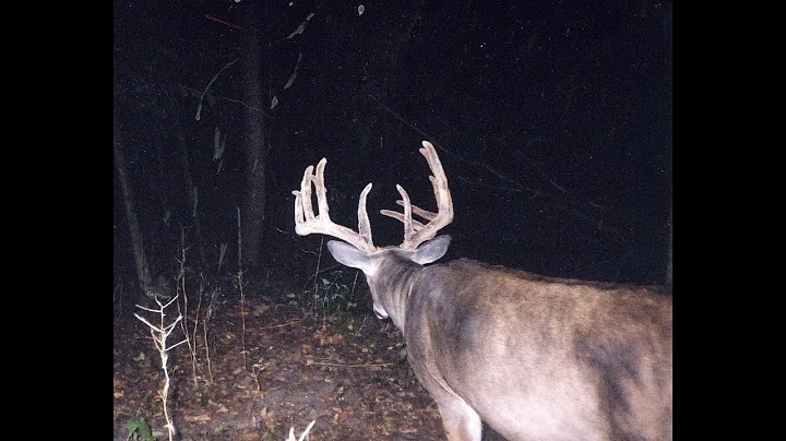 Summer scouting master class