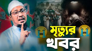 এত কবর দেখার পরেও কেমনে পাপ কর বাপ || আনিসুর রহমান আশরাফী || Anisur Rahaman ashrafi 2025 || New Waz