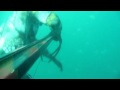 Spearfishing a Robalo