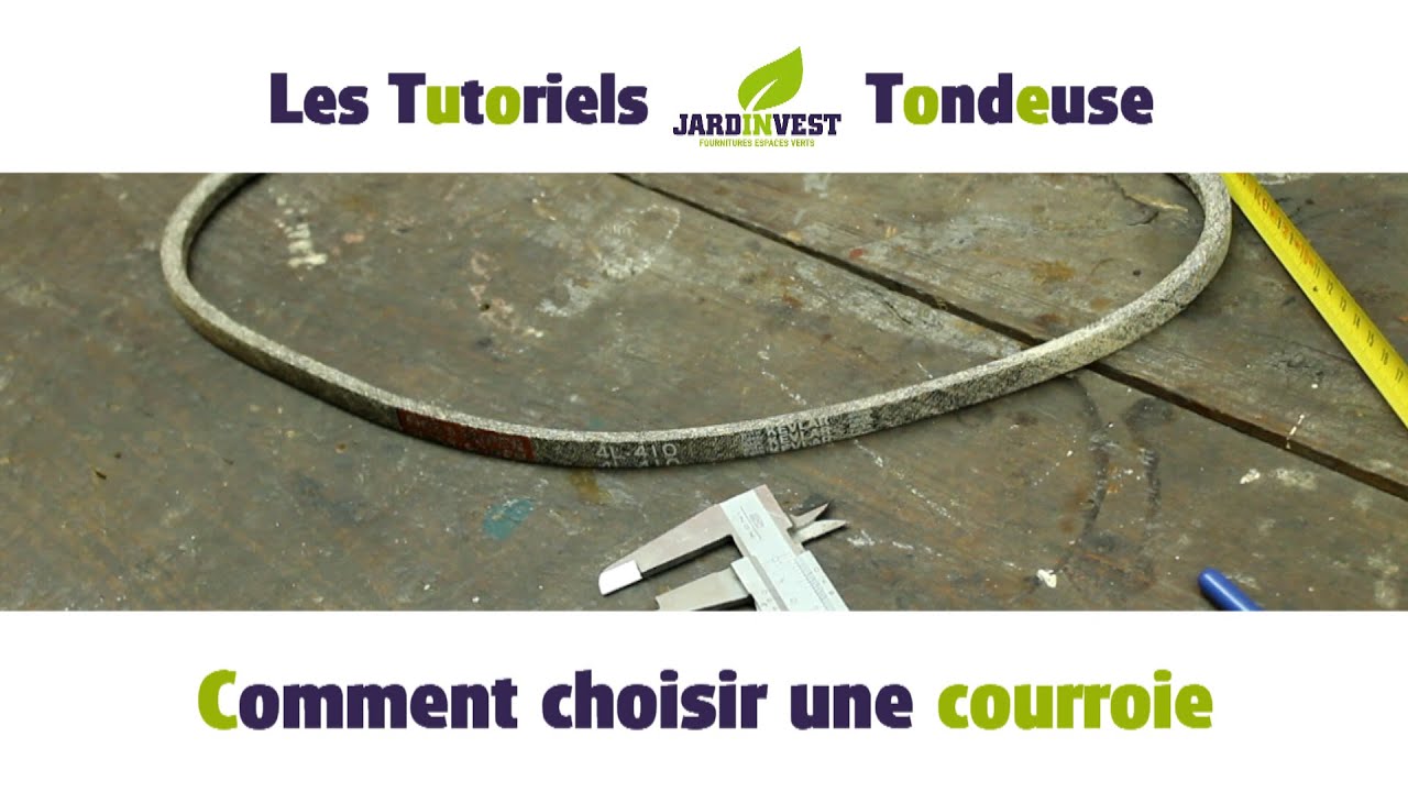 Comment choisir votre courroie photo ?