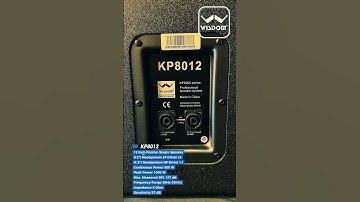 Speaker Karaoke KP8012 by Wisdom #wisdomproaudio #karaokespeaker