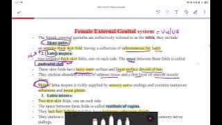 Female genital system I