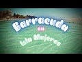 Vista de una Barracuda bajo el mar en el #caribe IslaMujeres #cancun #viral #fish #terror #scary 