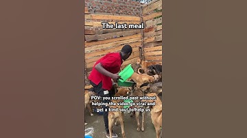 Donate via the PayPal link in bio or WhatsApp message me to know much about the shelter