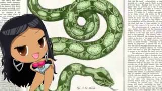 Anaconda: The Educational Version