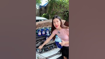 Nước Rửa Kính Ô Tô Chuyên Dụng SHINY CLEAN, Đổ Trực Tiếp (Không Pha)