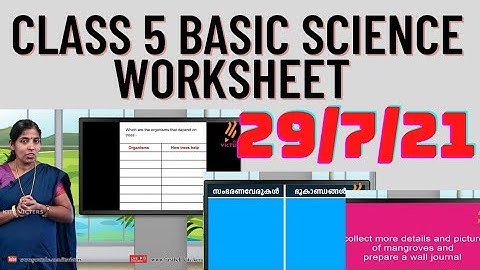 class 5 Basic science worksheet 29/7/21|kite victers 5th std basic science worksheet|@talknwalk5886