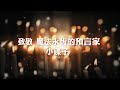 紀念魔法永恆的預言家【小碟子】