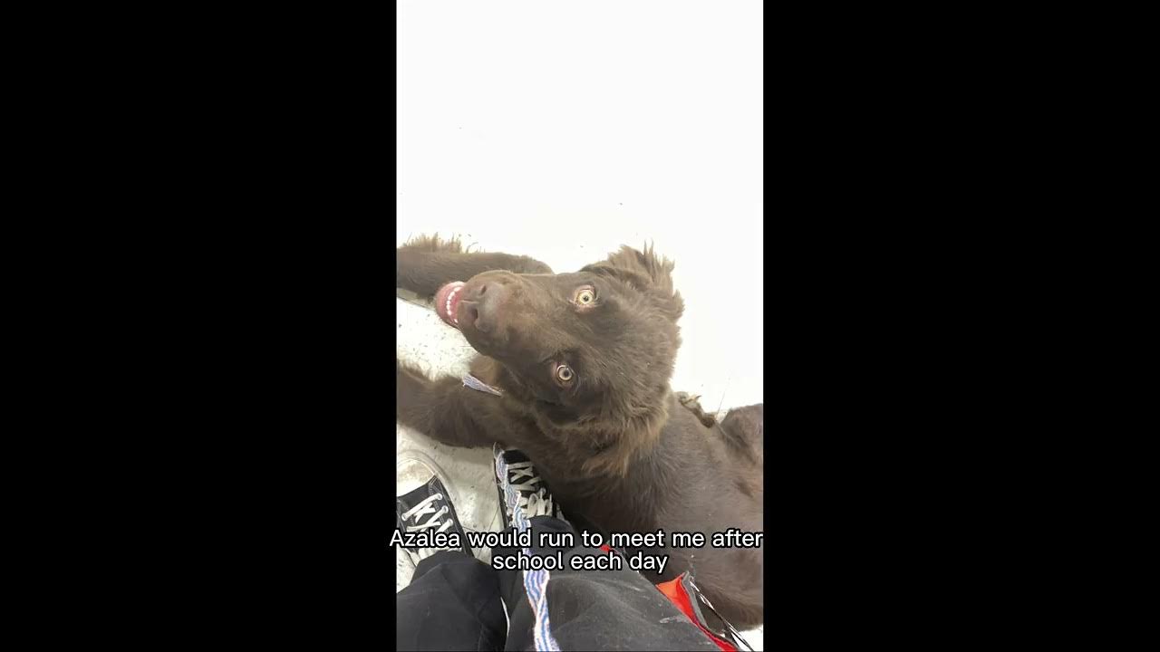 🖤Cracker Jack Dolly Parton🖤 YouTube