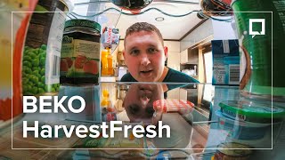 BEKO HarvestFresh: w tej lodówce jedzenie wytrzymuje dłużej