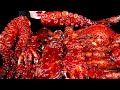 ASMR SPICY SEAFOOD, SPICY MUSHROOM, 불닭 버섯 먹방, OCTOPUS, SQUID, CRAB WEBFOOT OCTOPUS, 주꾸미 꽃게 먹방MUKBANG