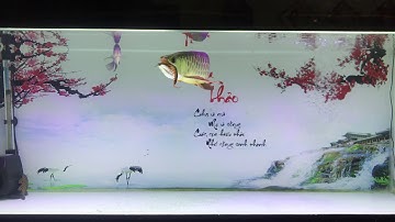 Cá rồng ăn rết 2020 - Arowana eat centipede