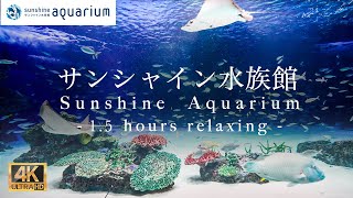 【4K】サンシャイン水族館のサンシャインラグーン 1.5時間 (Sunshine Lagoon tank of Sunshine Aquarium Tokyo Japan 1.5hours )