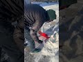 “I should really get my kids to do this” -Brendan