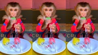 Baby monkey cute review random | May 2024 🐵😆 ASMR 90