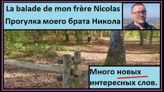 La balade de mon frère Nicolas - Прогулка моего брата Никола - Много новых интересных слов.