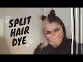 Split Hair Dye Black & Blonde! E-Girl Hair Transformation