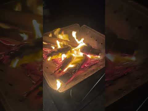 海鮮バーベキューと焚き火