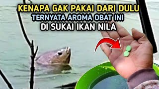 UMPAN IKAN NILA INI TERNYATA AMPUH||Campuran Lumut