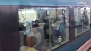JR東海道線E257形2000番台　特急踊り子4号東京行到着シーン