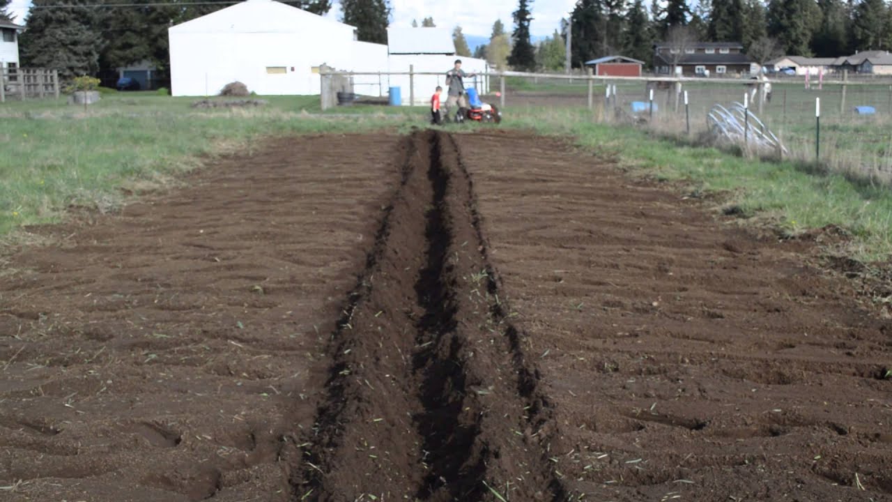 BCS 853 with furrower