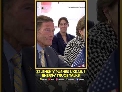 Zelensky Meets Four US Senators Ahead of Trump Talks | WION Shorts