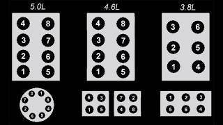 Ford firing order 5.0,4.6,3.8,3.9,4.9,7.5,5.8,5.4,351,428,427,406,390,302,289 f150, mustang