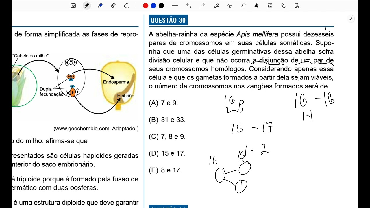 Faculdade Israelita de Ciências da Saúde Albert Einstein Biologia