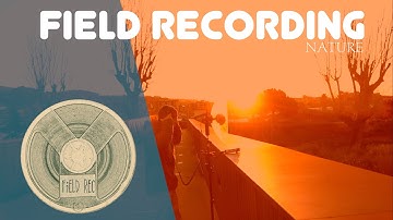 FIELD RECORDING NATURE SOUNDS
