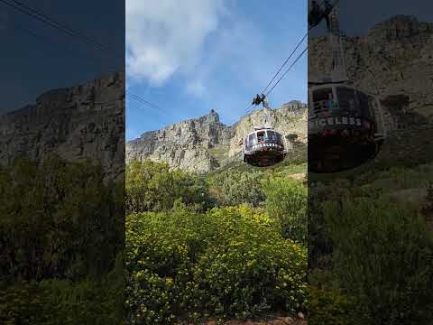 Videó: Table Mountain, Fokváros: A teljes útmutató