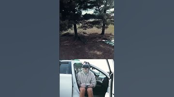 FIRST POWERLOOP #fpv