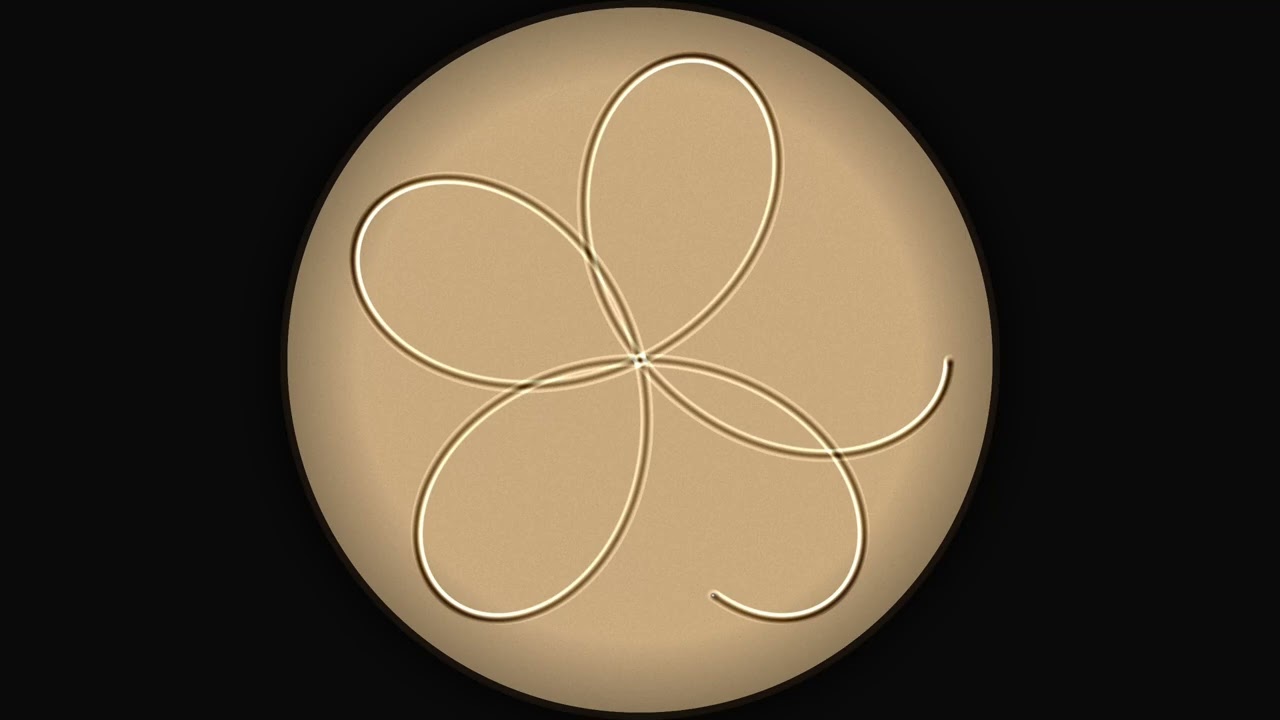 Sand Art #2: The Rose Curve