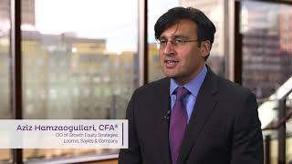 Loomis Sayles Growth Equity Alpha Thesis screenshot 1