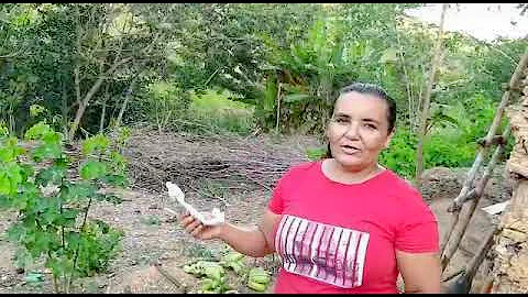 O que têm em Maceió para dar de lembrança?