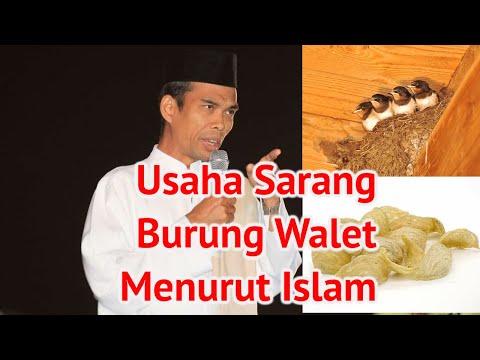 Video: Bolehkah sarang burung basah?