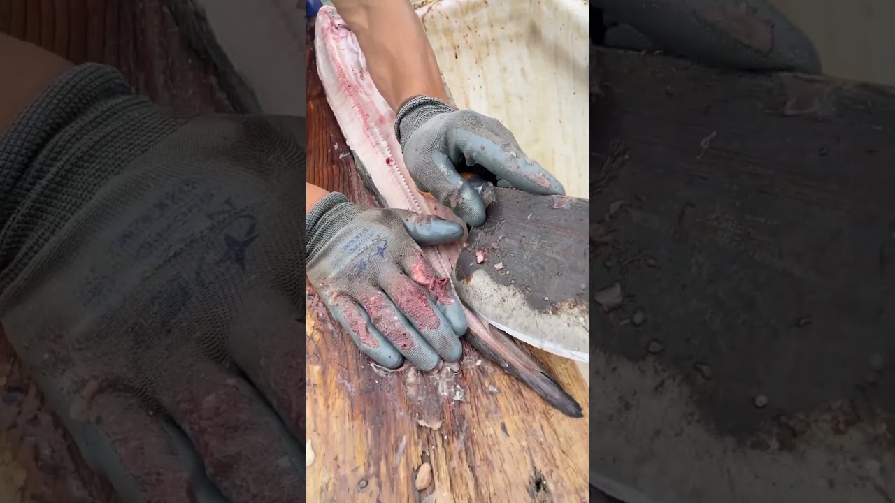 wesome professional conger eel cutting skills for you! #reels #amazing #video #skills #foryou