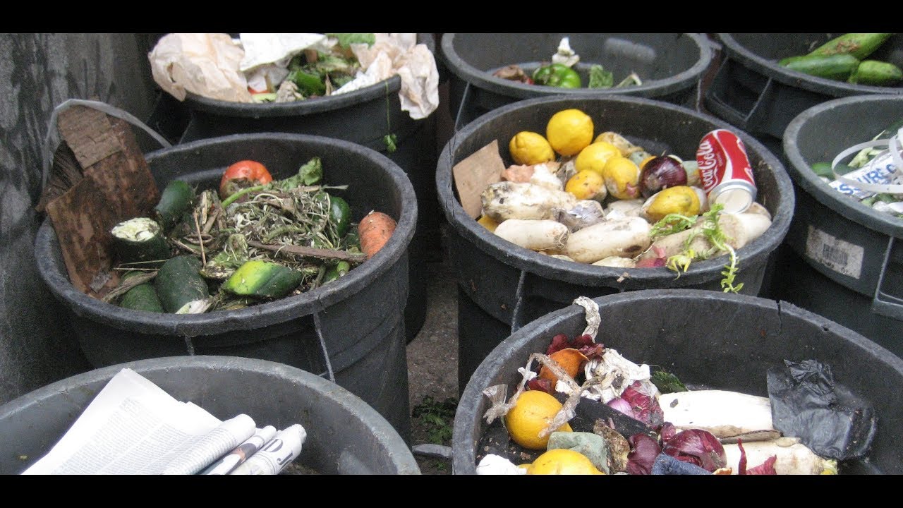 Food waste in France- what is done about it? - YouTube