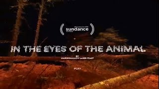 IN THE EYES OF THE ANIMAL on Gear VR