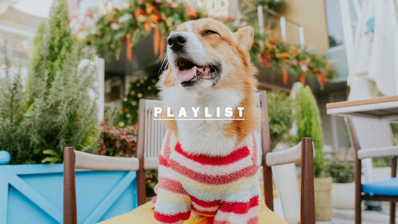 봄 보사노바 재즈🌿카페에서 듣기 좋은 감성 재즈 음악 1시간🎧Soft Spring Bossa Jazz