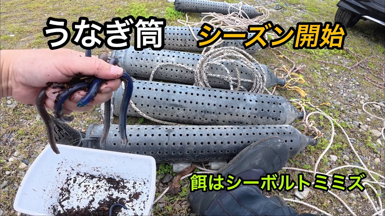 My first eel trap of the season! Here are the results of my