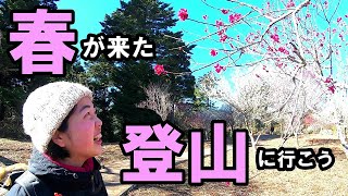 春らしい陽気な日に、登山して温泉入ってトレーラーハウスで眠る最高な休日