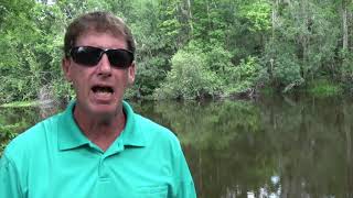 Phosphate mining