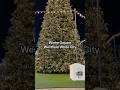 Winter Square at Westfield White City #fypシ #londoners #westfieldmall #westfieldwhitecity #christmas