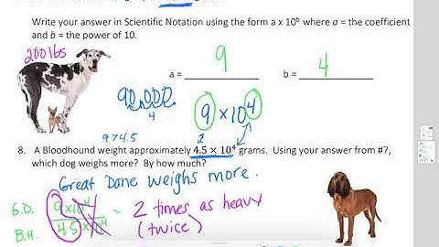 Module 1 Topic B Study Guide: Scientific Notation