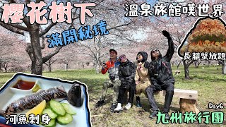 秘境 長湯温泉しだれ桜の里 櫻花樹下 河魚刺身 長腳蟹放題