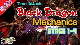 Mechanics-1/ Black Dragon Time Attack Stage 1 to 4/ DragonNest SEA